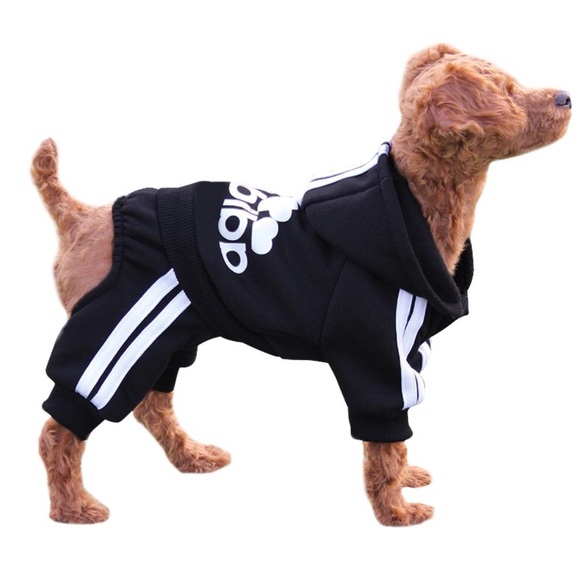 Dog Sweatshirt Hoodie NWT - Picture 2 of 8